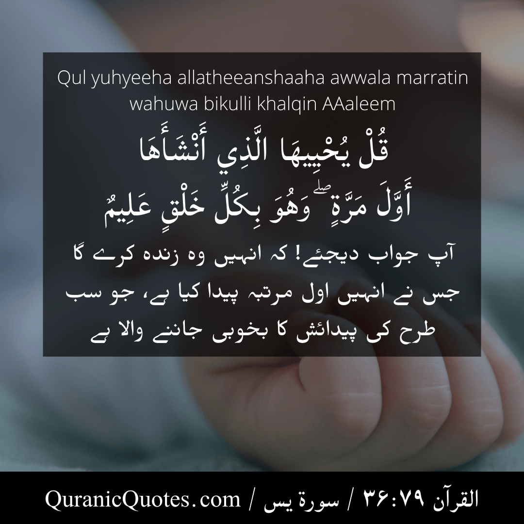 Quranic Quotes in Urdu 411