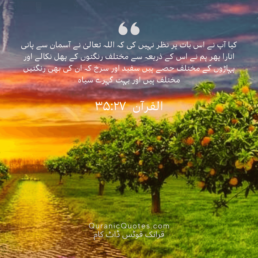 Quranic Quotes in Urdu 428