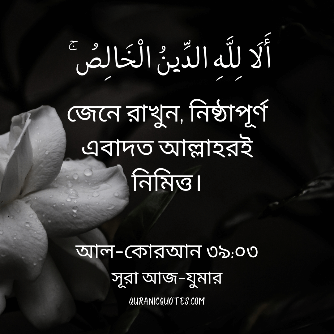 Quranic Quotes in Bangla 62