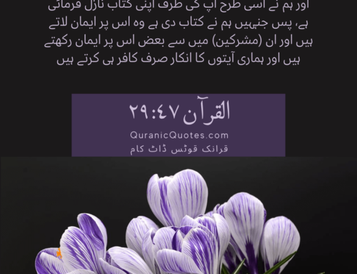 #418 The Quran 29:47 (Surah al-Ankabut)