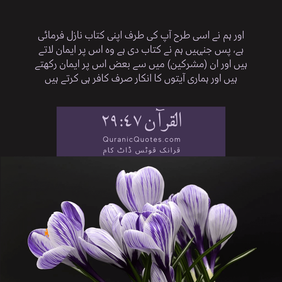 Quranic Quotes in Urdu 418