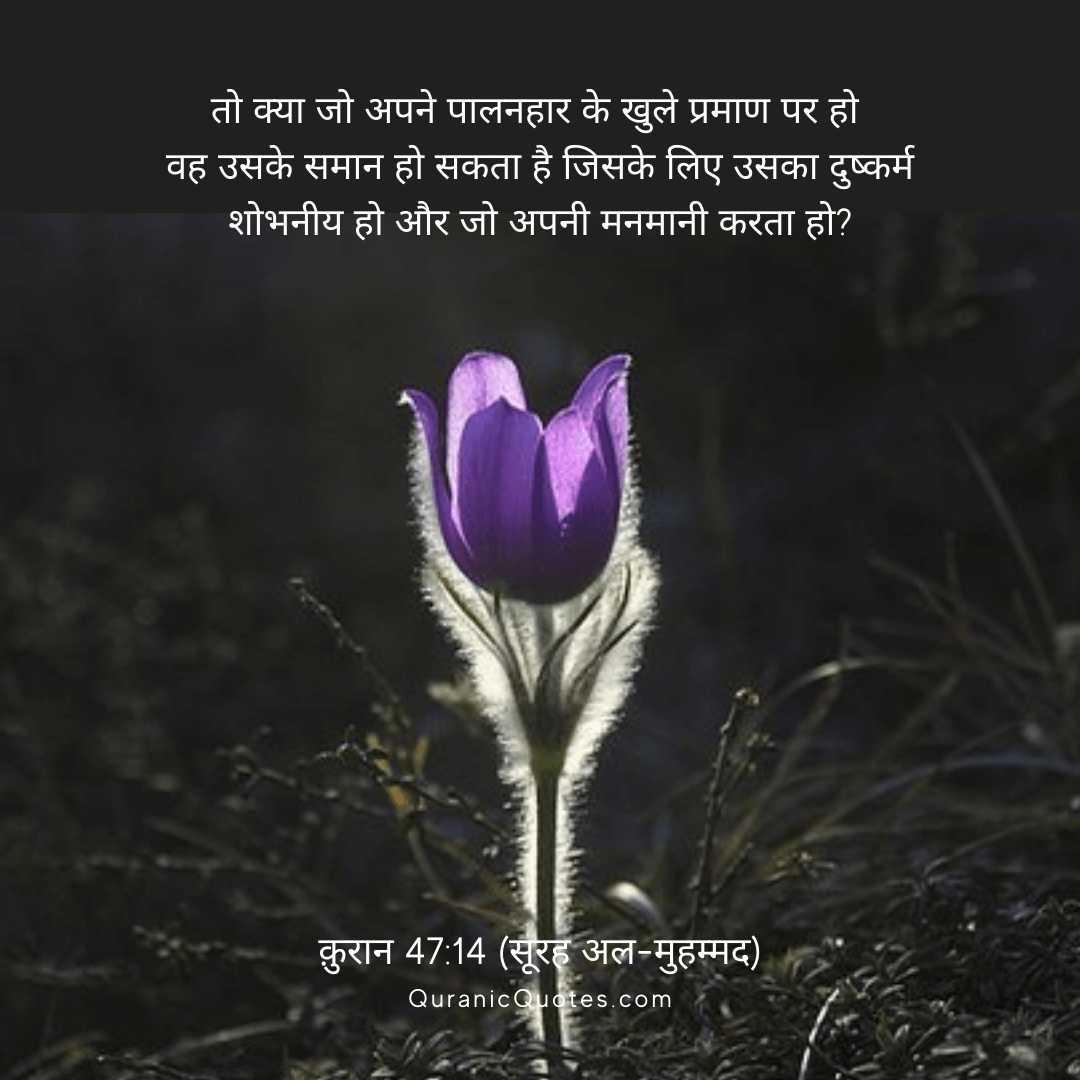 Quranic Quotes in Hindi 284