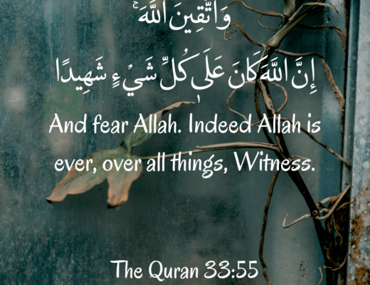 #511 The Quran 33:55 (Surah al-Ahzab)