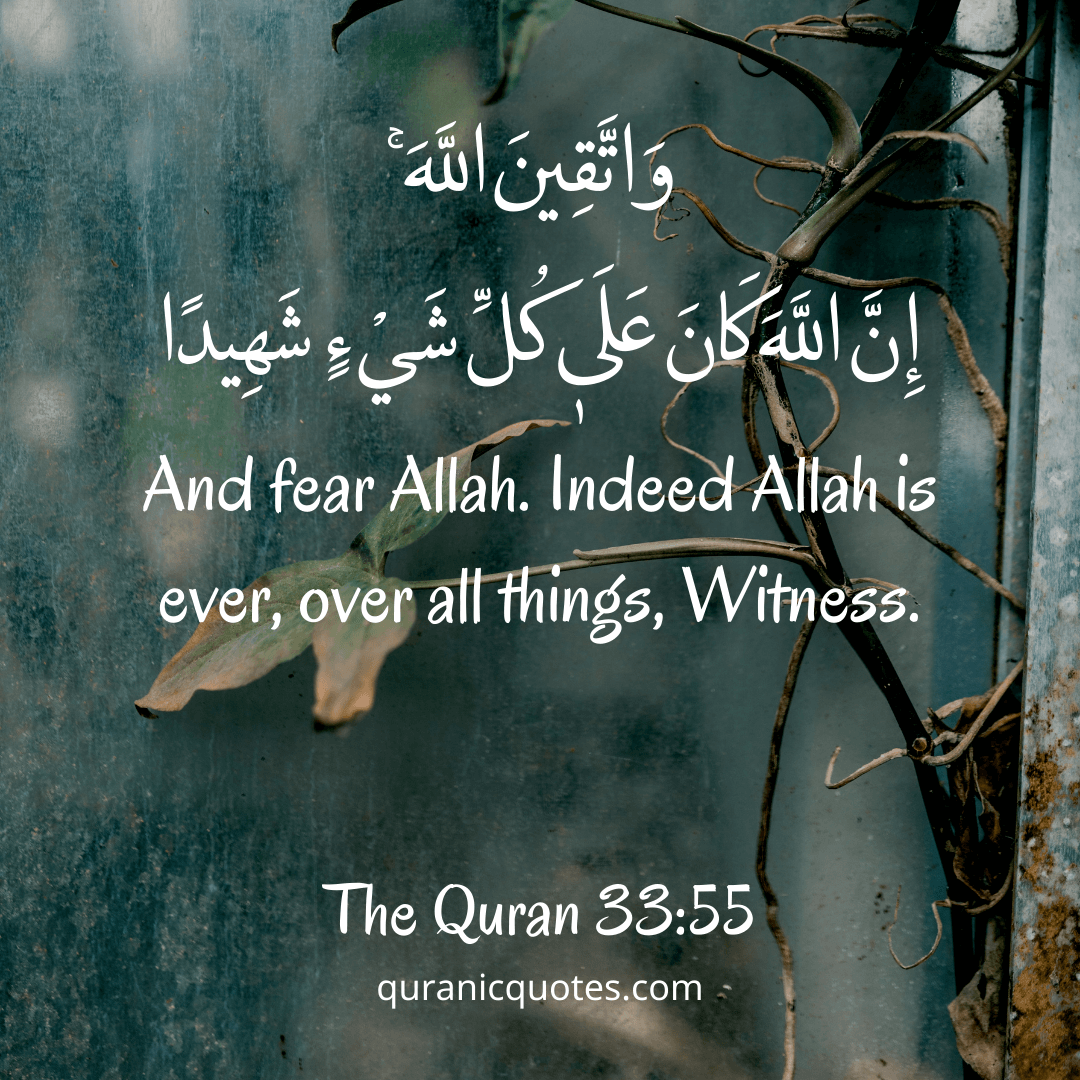 Quranic Quotes in English 511
