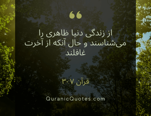 #164 The Quran 30:07 (Surah ar-Rum)