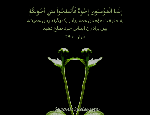 #166 The Quran 49:10 (Surah al-Hujurat)