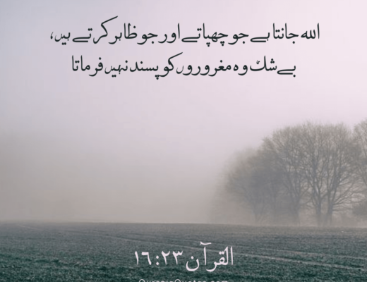 #452 The Quran 16:23 (Surah an-Nahl)