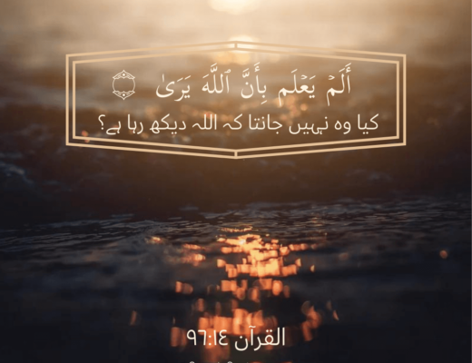 #453 The Quran 96:14 (Surah al-Alaq)