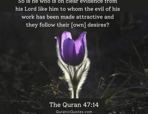 #519 The Quran 47:14 (Surah Muhammad)