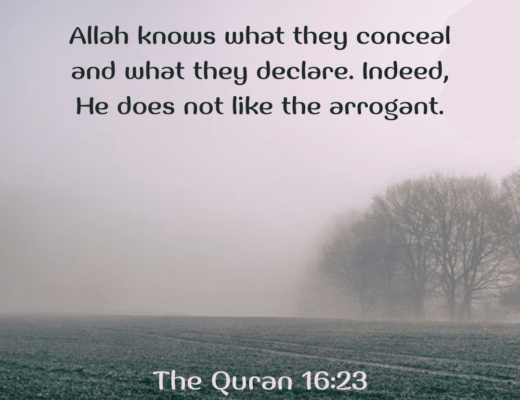 #520 The Quran 16:23 (Surah an-Nahl)