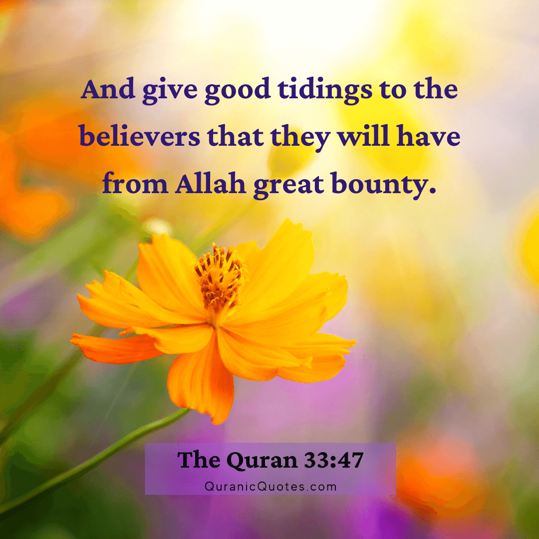 Quranic Quotes in English 524