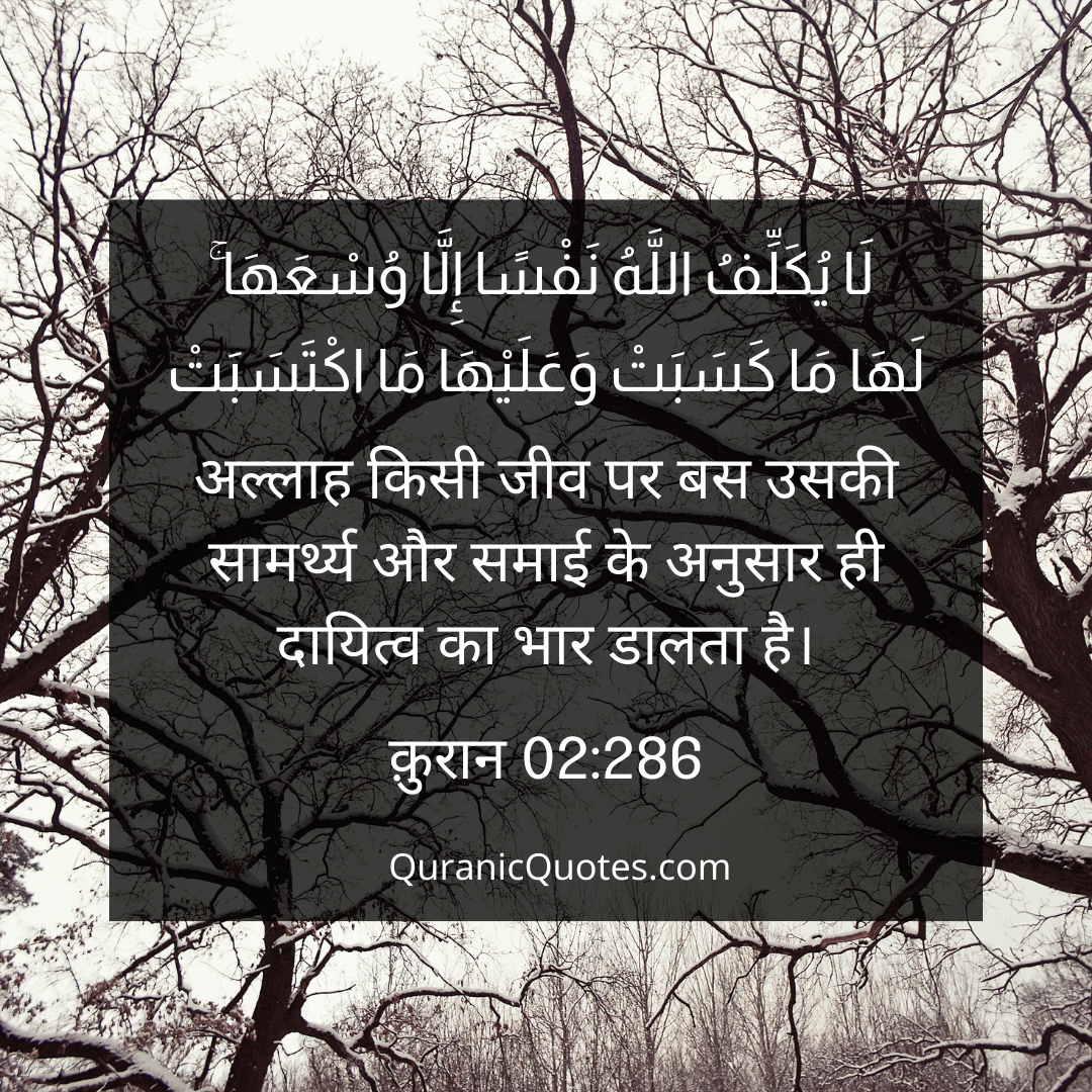 Quranic Quotes in Hindi 288