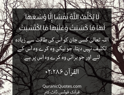 #460 The Quran 02:286 (Surah al-Baqarah)