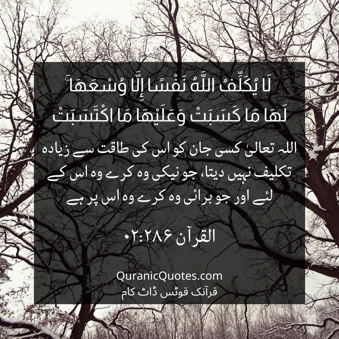 Quranic Quotes in Urdu 460