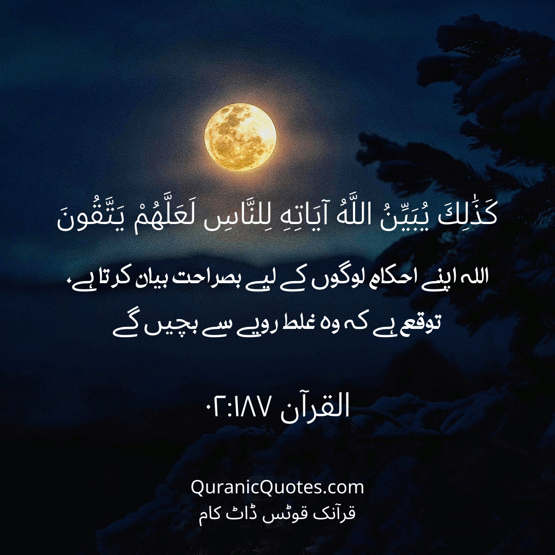 Quranic Quotes in Urdu 461