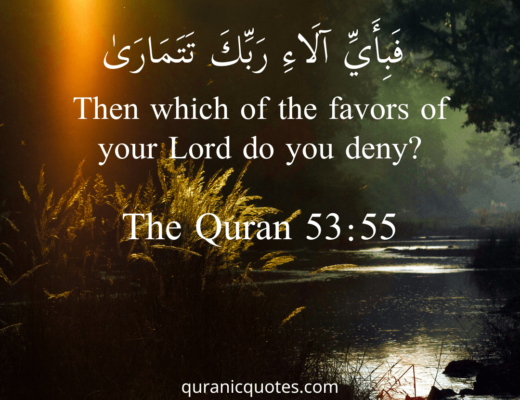 #529 The Quran 53:55 (Surah an-Najm)