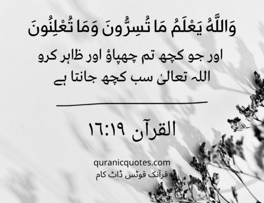 #469 The Quran 16:19 (Surah an-Nahl)