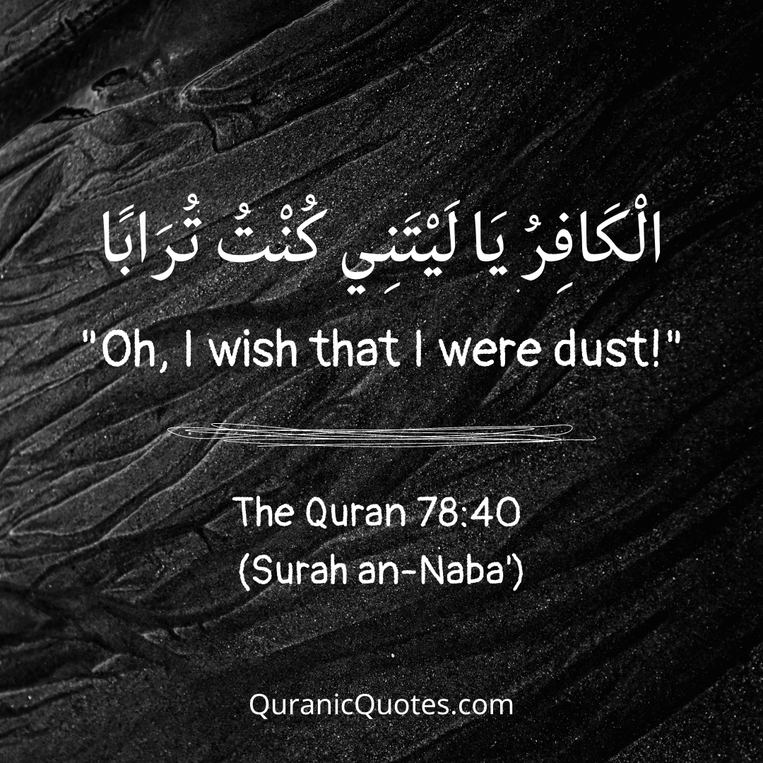 Quranic Quotes n English 546
