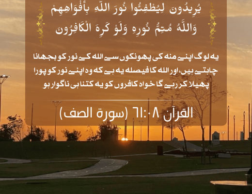 #493 The Quran 61:08 (Surah as-Saf)