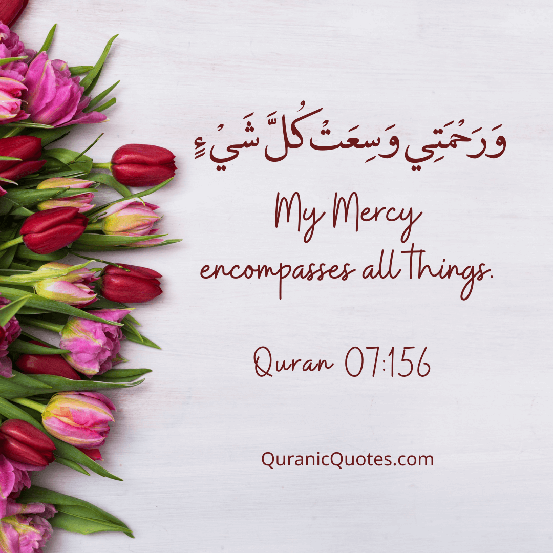 Quranic Quotes in English 558