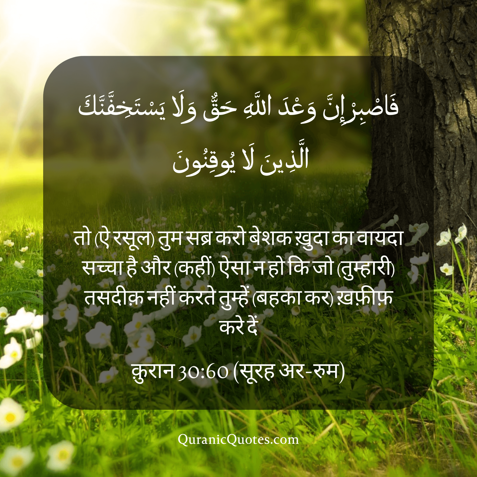 Quranic Quotes in Hindi 345