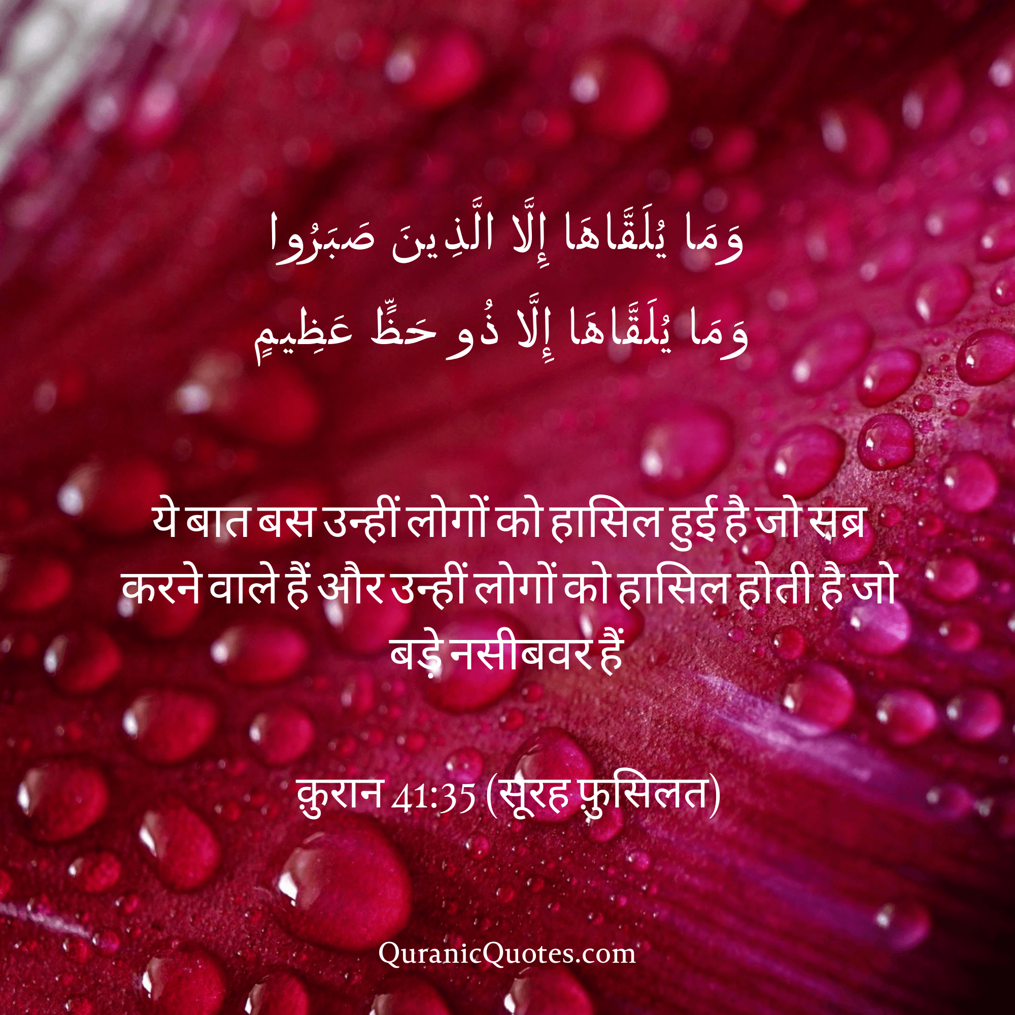 Quranic Quotes in Hindi 347