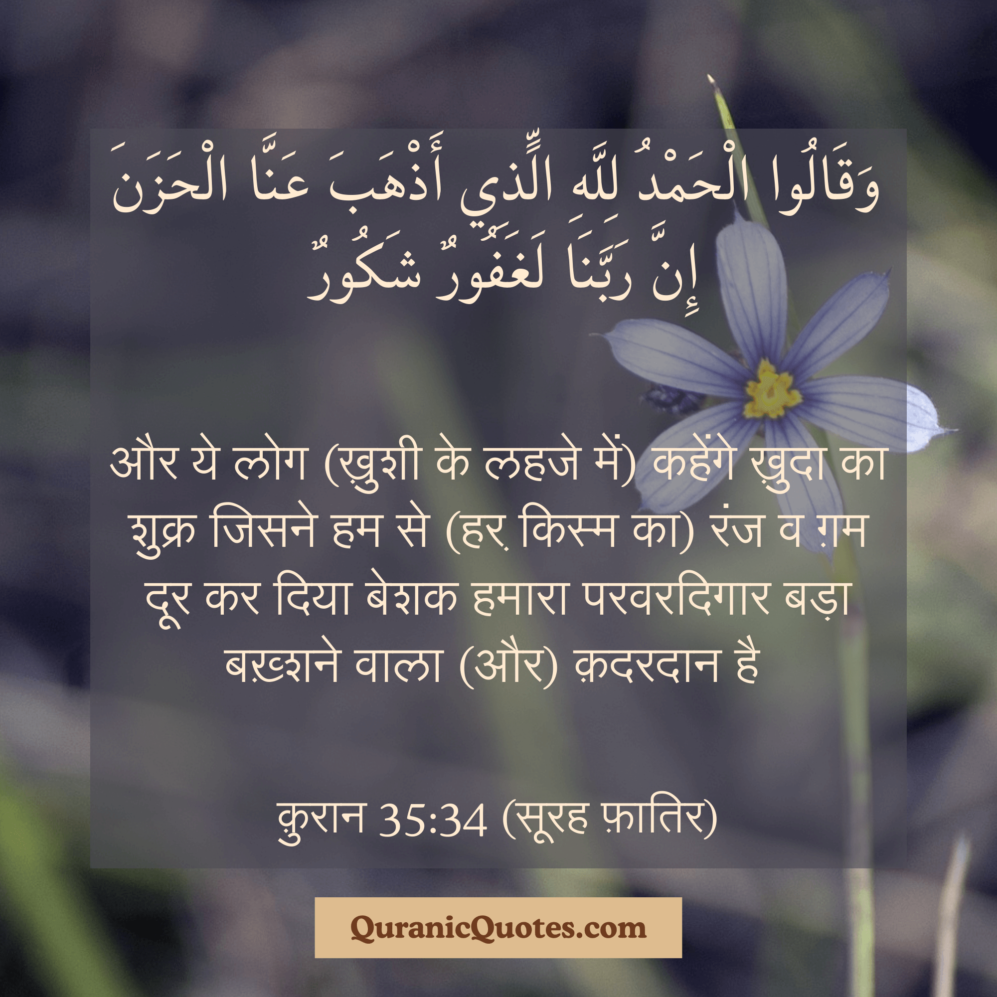 Quranic Quotes in Hindi 353