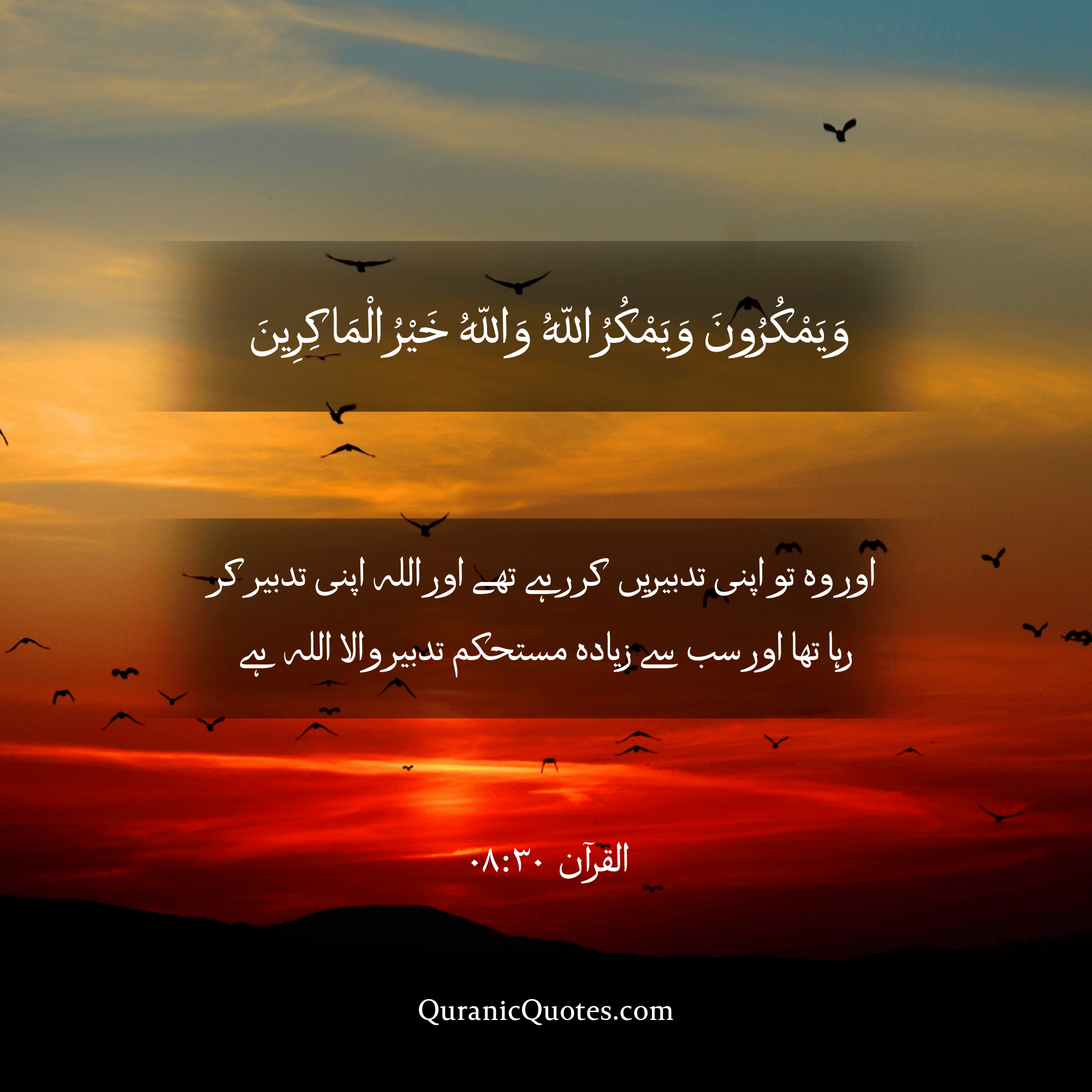 Quranic Quotes in Urdu 494