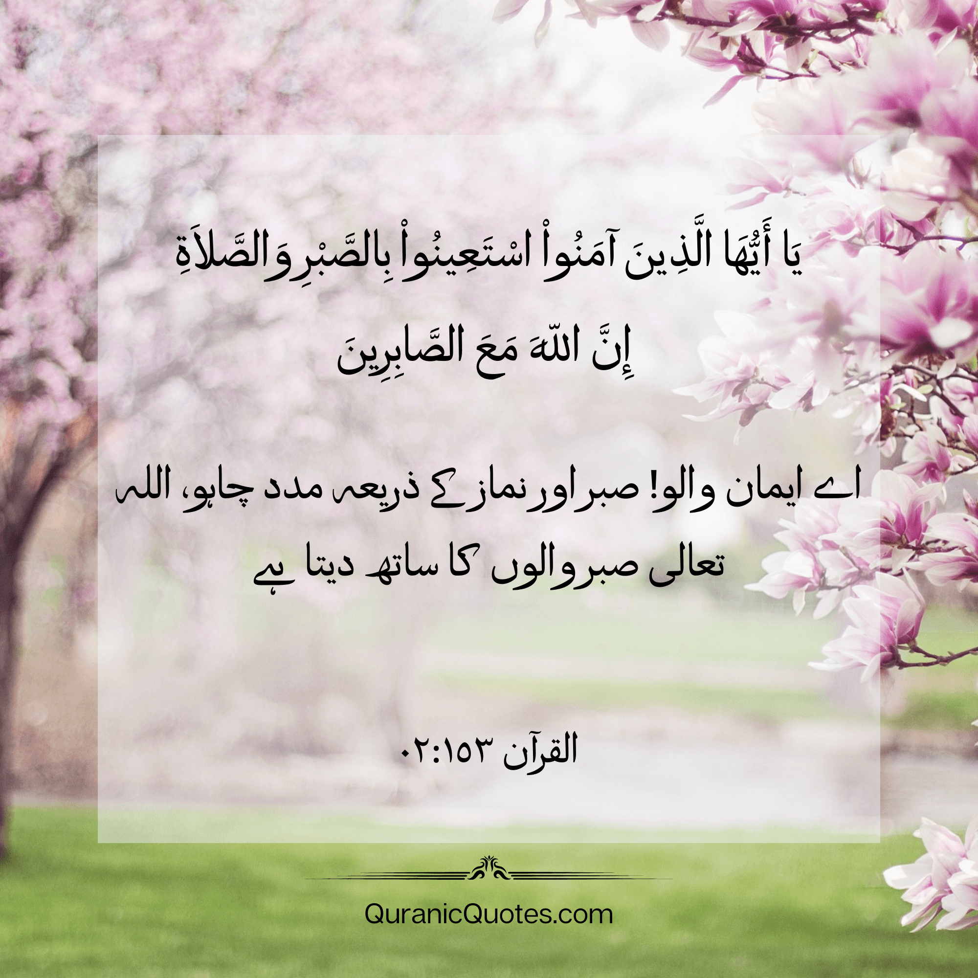 Quranic Quotes in Urdu 496