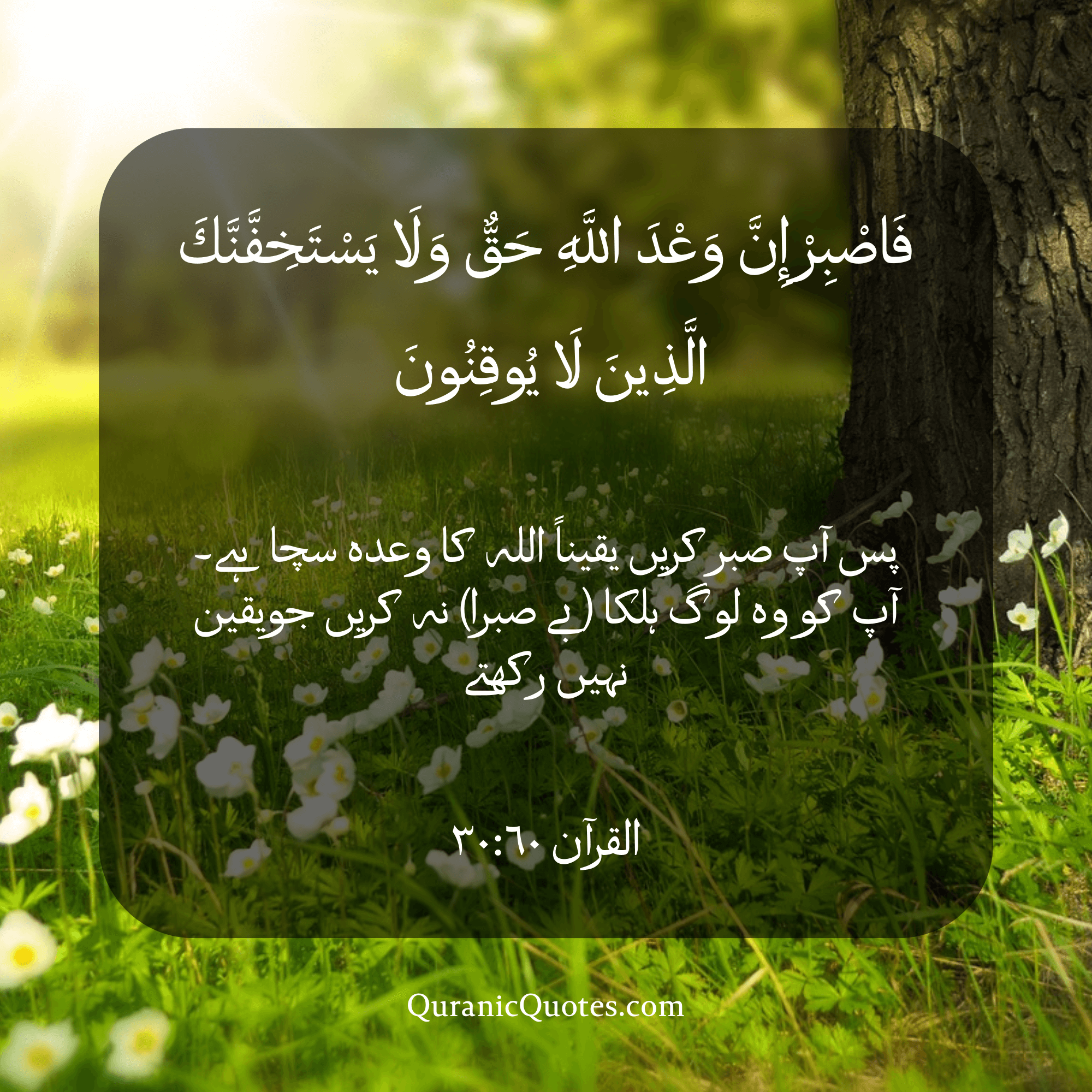 Quranic Quotes in Urdu 505