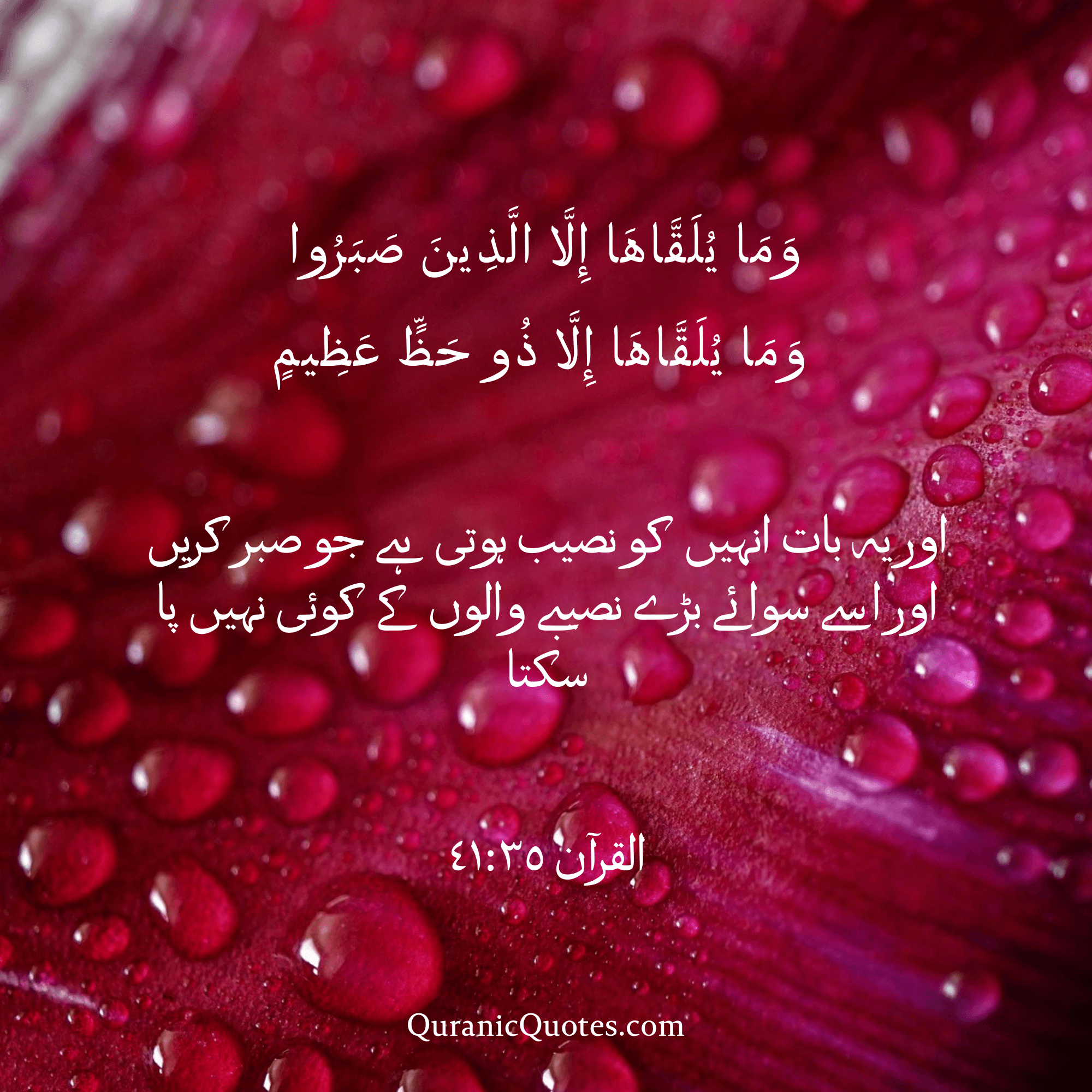 Quranic Quotes in Urdu 507