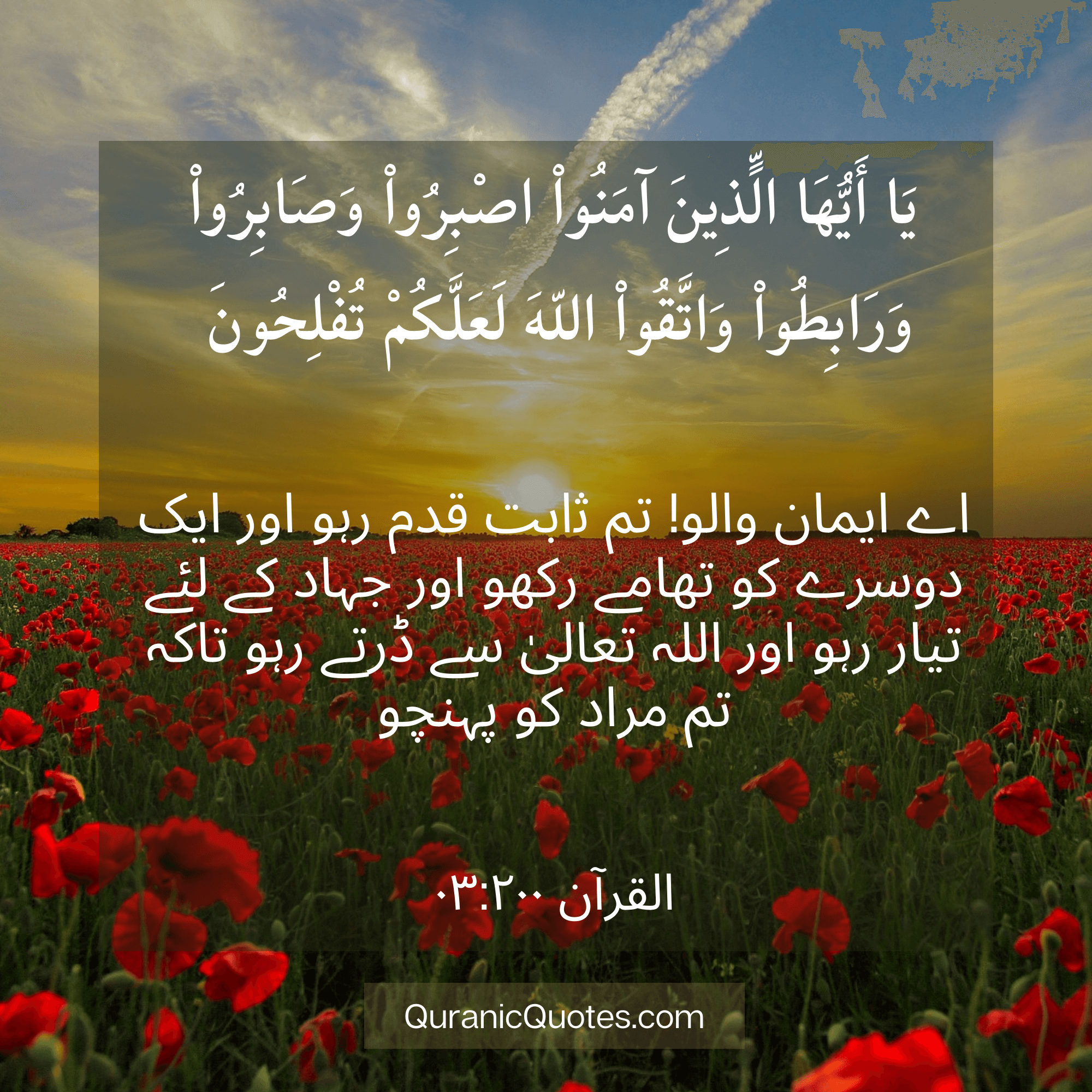 Quranic Quotes in Urdu 508
