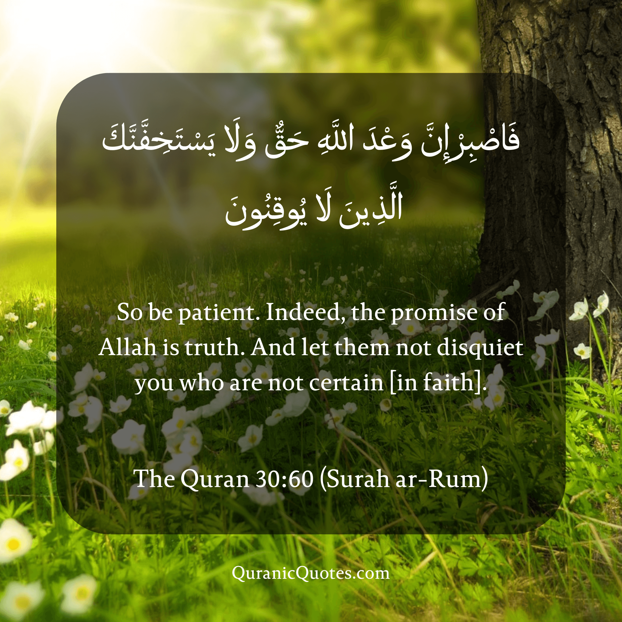 Quranic Quotes in English 573