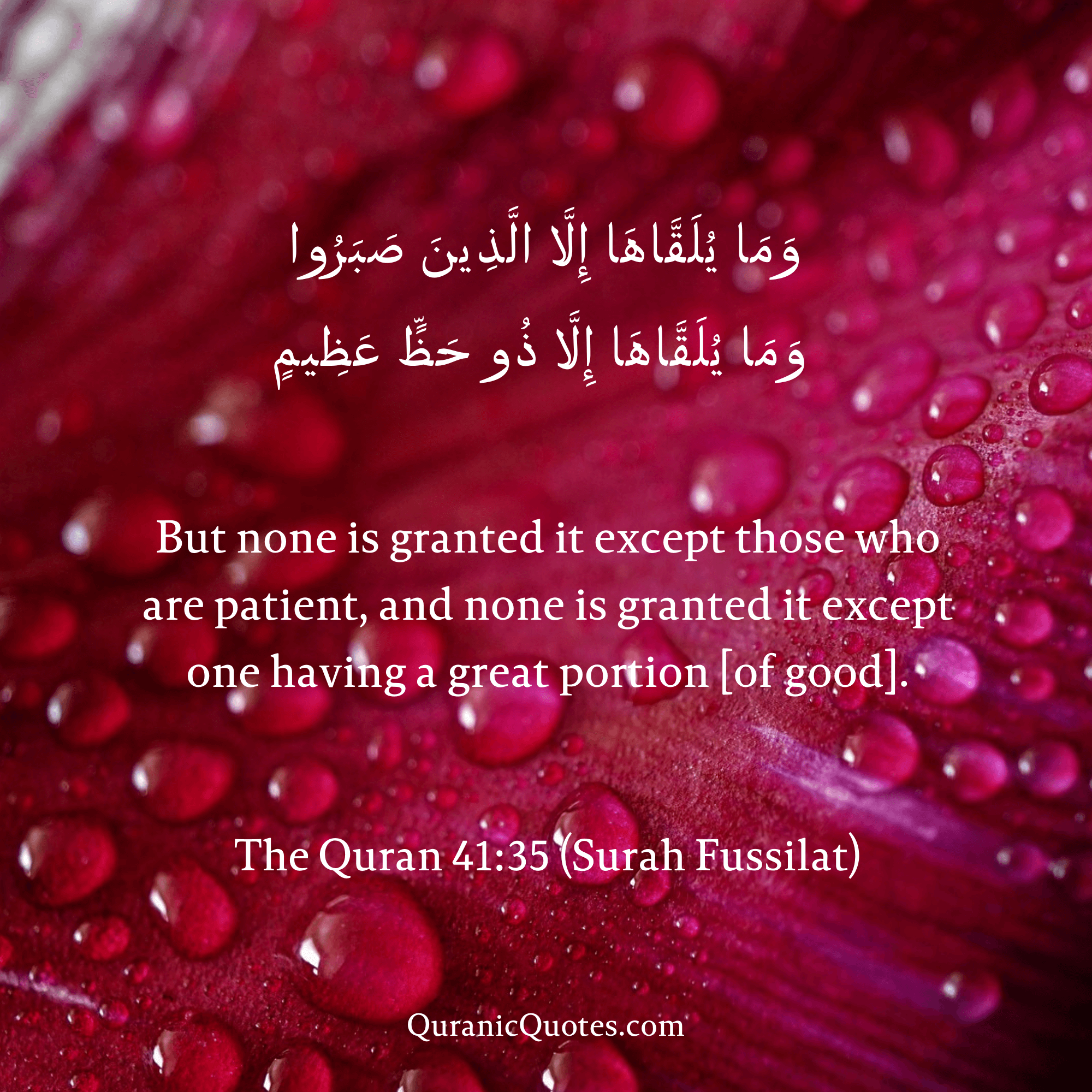 Quranic Quotes in English 575