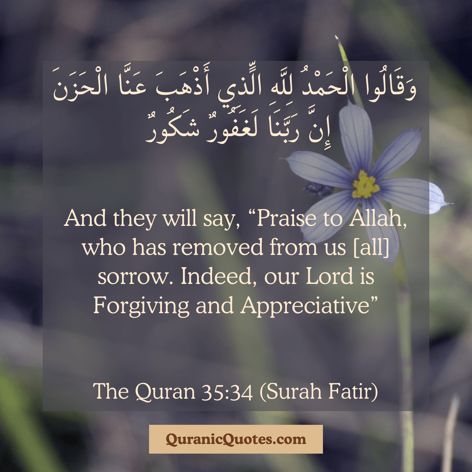 Quranic Quotes in English 581