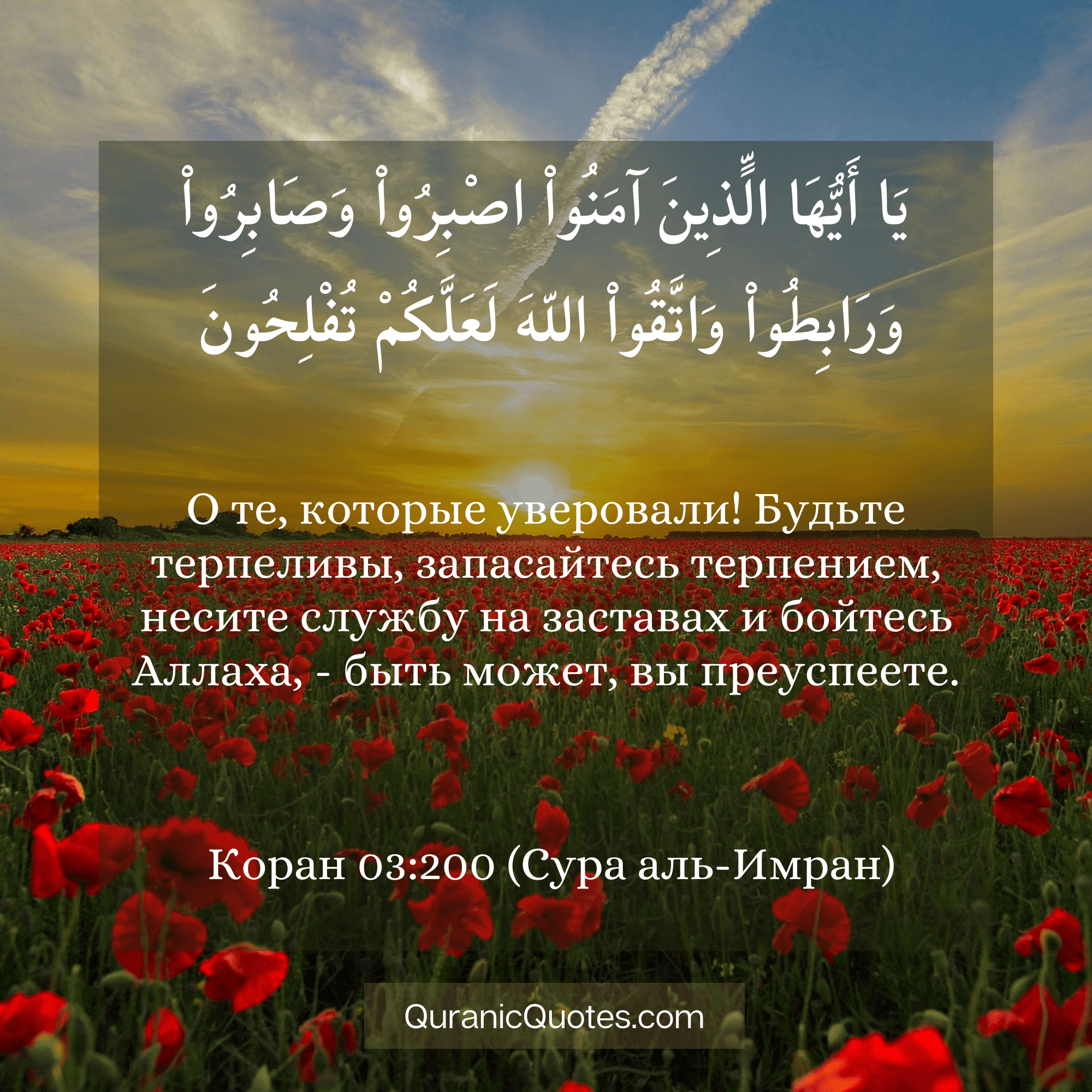 Quranic Quotes in Russian 93