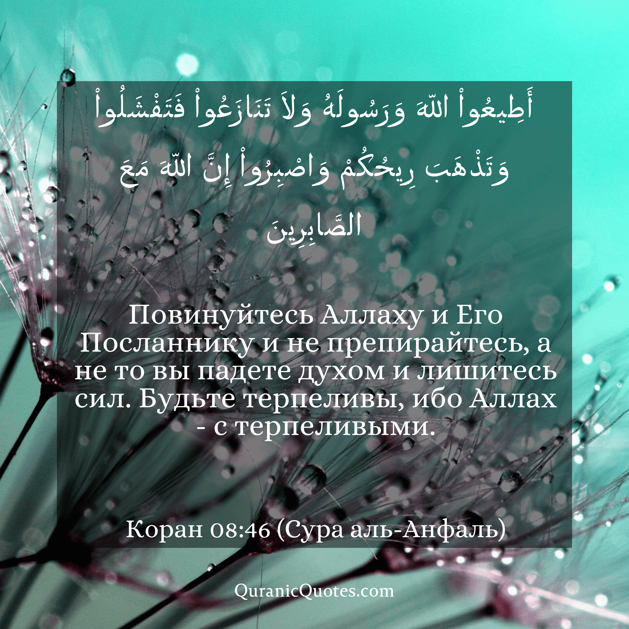 Quranic Quotes in Russian 94
