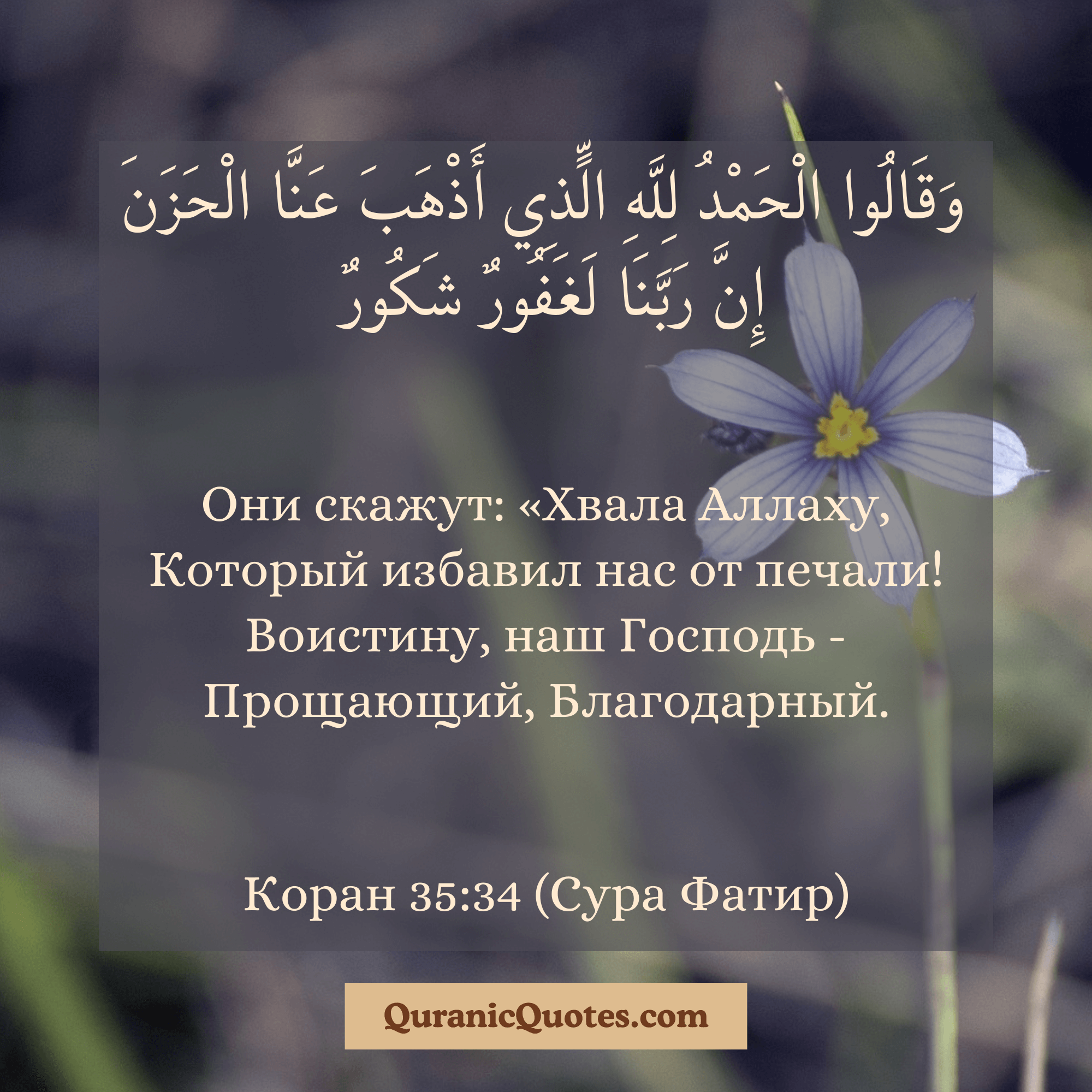 Quranic Quotes in Russian 98