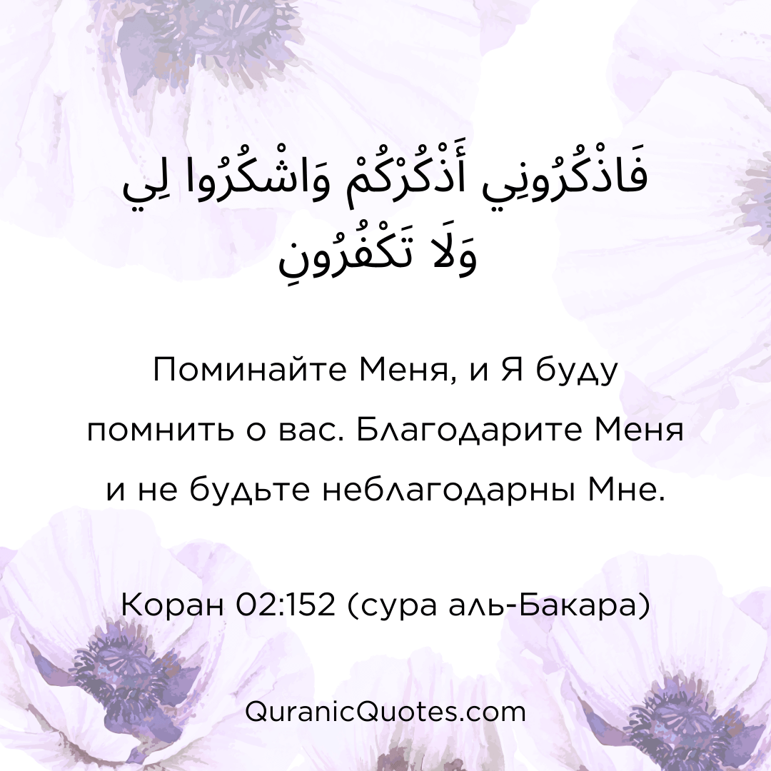 Quranic Quotes in Russian 124