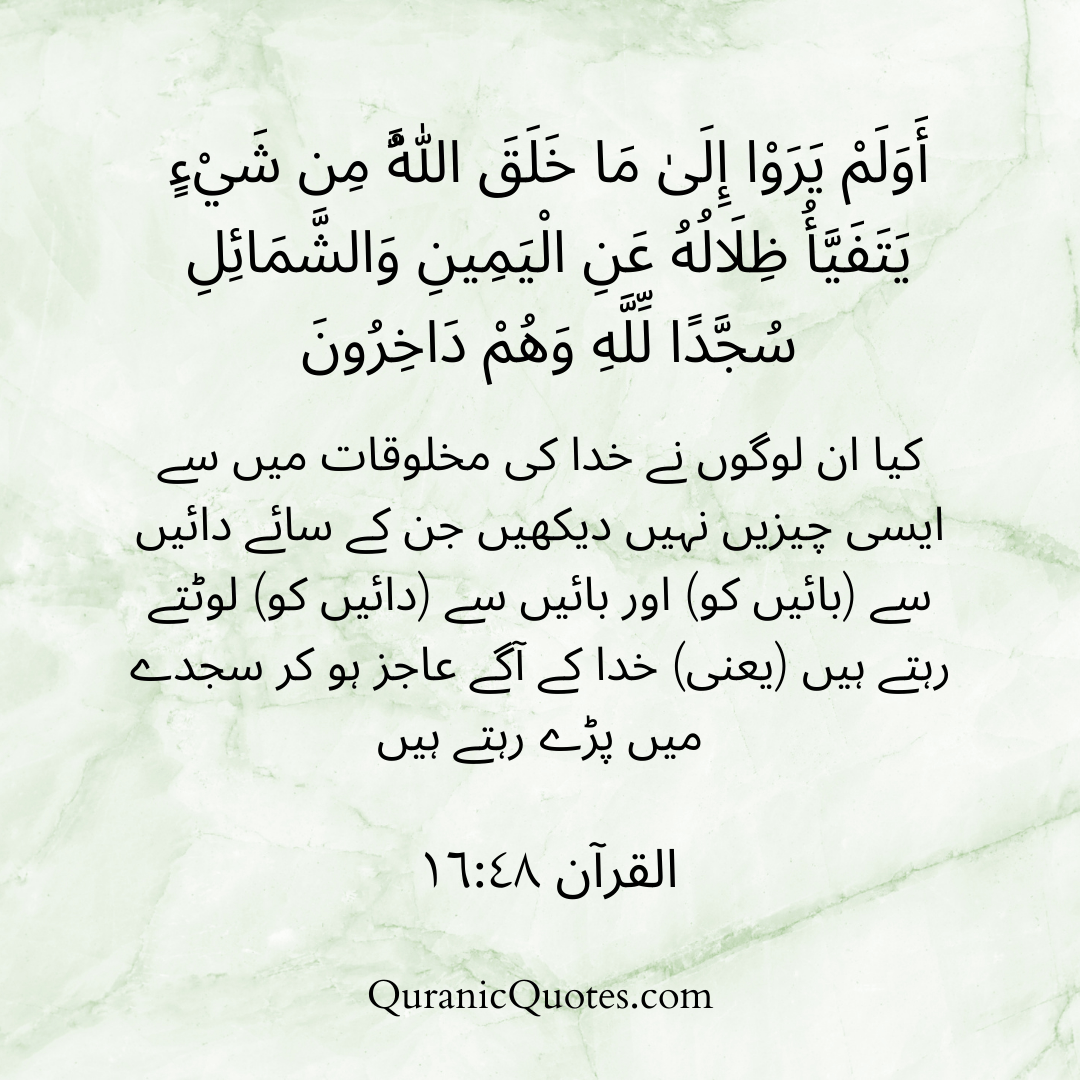 Quranic Quotes in Urdu 557
