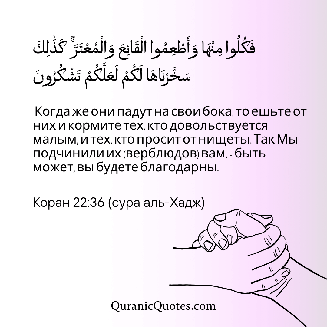 Quranic Quotes in Russian 163